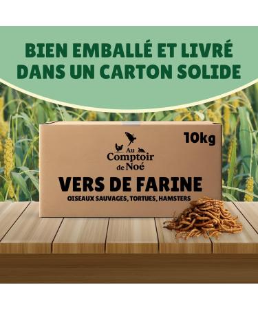 Dried Flour Worms 10 kg Au Comptoir de No 100% Natural Rich in Protein and Good Fats to Fat Flour - Buy Online on GoSupps.com