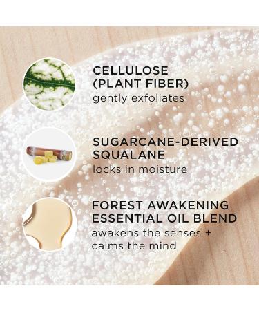 Tatcha Forest Awakening Hinoki Body Wash 200 ml | Gentle Exfoliating Scrub 6.8 fl oz - Buy Online on GoSupps.com