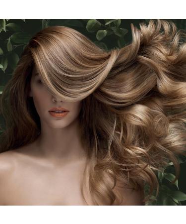 Buy PHYTO Phytodensia Botanical Plumping Hair Serum - Nourish & Volumize Hair | International Shipping Available - Buy Online on GoSupps.com