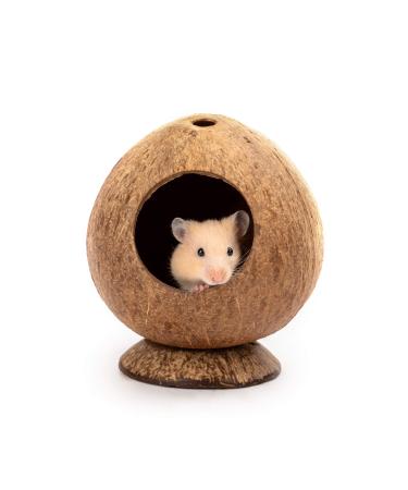 andwe Coconut Hut Hamster House Bed for Gerbils Mice Small Animal Cage Habitat Decor