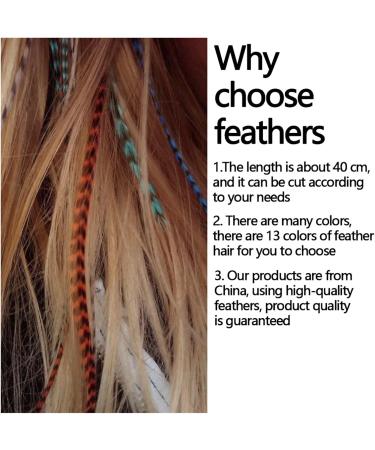 LNNXSZ Feather Hair Extension Kit Feather for Hair Extensions Synthetic Long Colored Overhead Strands of Hair Accessories Rainbow Hairpiece for Women (Color : 3 Size : 16inch 40cm) 16inch 40cm 3 - Buy Online on GoSupps.com