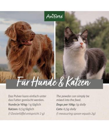 Aniforte African Devil Claw Powder for Dogs & Cats 250g | Joint Support & Mobility Aid for Pets - Buy Online on GoSupps.com