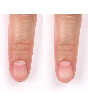 Bluesky Stainless Steel Cuticle Nippers - Professional Nail Cutters - Buy Online on GoSupps.com