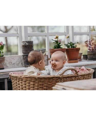BIBS COLOUR Anatomical Dummy 2-Pack | BPA-Free Natural Rubber Pacifiers for 0-6 Months | Jaw-Friendly Design Made in Denmark - Vanilla/Pine - Buy Online on GoSupps.com