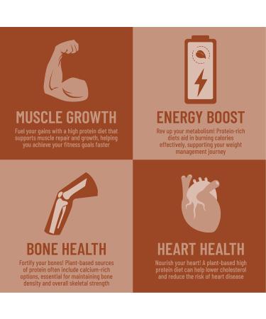 Earthli Chocolate Plant Protein Shake (940g) | Hemp Based Superfood | 20g Protein | Keto Friendly Non-GMO No Added Sugar | Vegan Plant-based Protein Powder | All-in-one Nutritional Shake - Buy Online on GoSupps.com