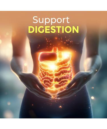 VEDIKROOTS Bhumi Amla Powder/Churn - Organic and Pure Ingredient Extract for Healthy Liver Functioning and Digestive Strength Enriched with Essential Nutrients (200 g (Pack of 2) Triphala) - Buy Online on GoSupps.com