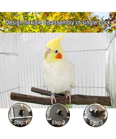 Kathson 6 PCS Parrot Perch Toy Set - Natural Wood Bird Cage Accessories for Parakeet, Budgies, Lovebirds - Buy Online on GoSupps.com
