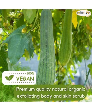 Egyptian 21.5 Loofah Scrubber Sponge - 100% Natural Organic SPA Beauty Bath Exfoliator - Buy Online on GoSupps.com