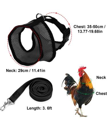 Molain Adjustable Chicken Harness with Leash | Breathable Chicken Vest for Ducks & Hens (2-11 lb) - Comfortable Training Mesh Dish - Buy Online on GoSupps.com