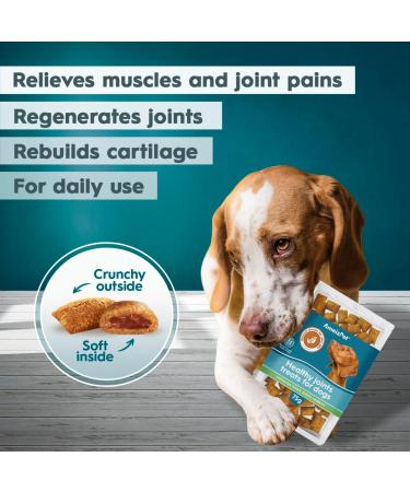 AmeizPet Dog Food Dog Biscuits Hip and Joint Supplements for Dogs Joint Chew Treats 75 g (2.6 oz) - Buy Online on GoSupps.com