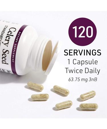 Natural Factors Celery Seed Extract 120 Veg Capsules - Standardized Herbal Supplement - Buy Online on GoSupps.com