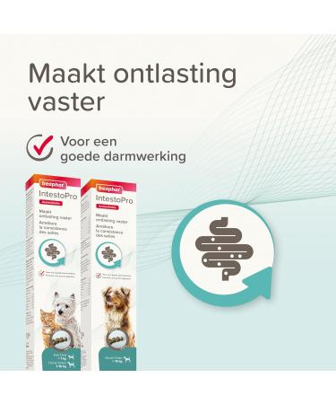 BEAPHAR IntestoPro Food Supplement to improve stool consistency Promotes Digestion Active Ingredient of Natural Origin for Cats and Small Dogs (1 15 kg) 20 ML - Buy Online on GoSupps.com