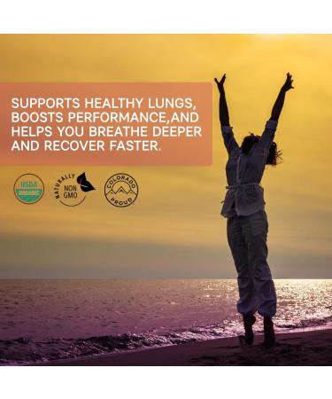 Cordyceps Mushroom Extract Capsules Organic High Potency 30% Beta-Glucans | Supports Energy Vitality & Endurance | Cordyceps Sinensis Organic Vegan Non-GMO | 120 Capsules / 4 month supply - Buy Online on GoSupps.com