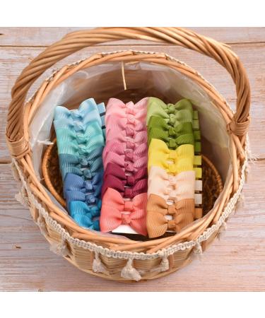 Ruyaa 60 Pieces 30 Colors Baby Girls Fully Covered Hair Clips - Tiny 2 Hair Bows for Toddlers & Infants - Non Slip Alligator Clips Hair Accessories - Buy Online on GoSupps.com