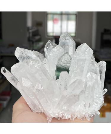 Natural Crystal Quartz Cluster Stone Minerals Great for Home Decoration Reiki ZJGIDTEM (Size : 700-800g) - Buy Online on GoSupps.com