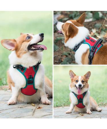 Phoepet 2019 No Pull Dog Harness - Reflective Adjustable Vest with Training Handle | XS Red | International Shipping - Buy Online on GoSupps.com