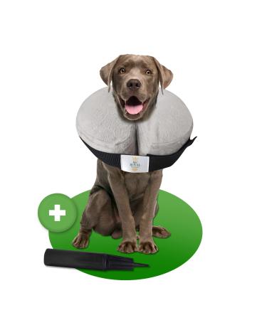 NEW: MC -Royal Premium Halskrause - inflatable premium breakthrown for dogs and cats reliable protection - dog collar - leak protection dog - dog collar - sore crane cats - protective collar dog 2. size: l - Buy Online on GoSupps.com