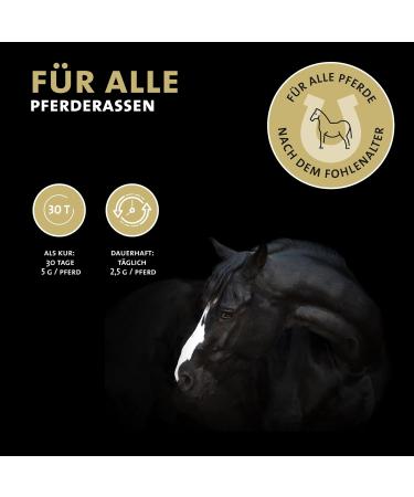 Peticare Worm Mix Powder for Horses - Natural Alternative to Worm Treatment & Infestation | Vegetable Ingredients & Wormwood | 200g | Pethorse Health - Buy Online on GoSupps.com