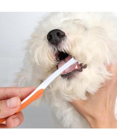 Dental Care for Cats & Dogs | Toothbrush Set Toothpaste & Finger Brush - Pet Oral Care Essentials - Buy Online on GoSupps.com