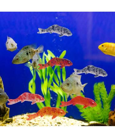 Artificial Floating Fish Decoration - 5pcs Aquarium Model for Terrarium & Landscape Crafts - Buy Online on GoSupps.com