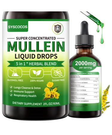 5 in 1 Mullein Drops for Lungs - 1600mg Organic Mullein Leaf Extract Supplement 2 oz Mullein Tincture with Elderberry Marshmallow Orange Peel & Ginger Root Liquid Extract - 60ml