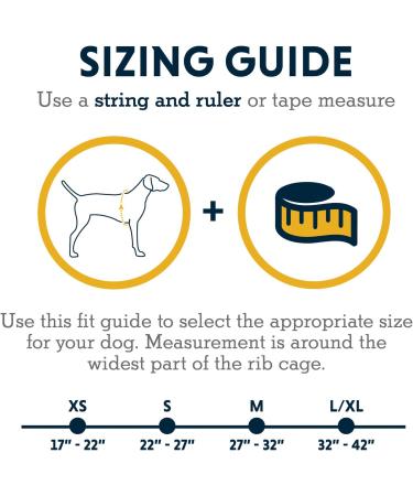 Luffwear Hundred Backpack for Large Dogs - Comfortable Saddlebag for Day Hikes | Front Range Day Pack in Aurora Teal Size L/XL - Buy Online on GoSupps.com