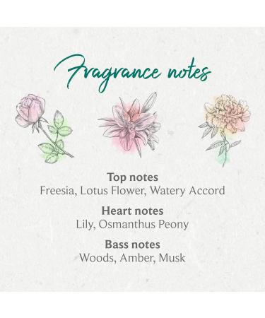 Moss & Adams Snowdon Falls Lotus Flower Handwash 500ml | Antibacterial & Vegan - Buy Online on GoSupps.com