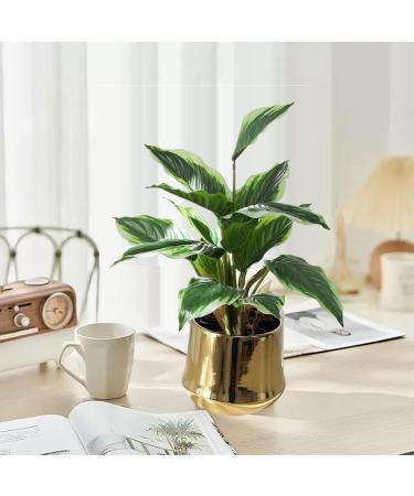 2 Bouquets Artificial Hostas 17.71in Tall Realistic Fake Dieffenbachia with 14 Leaves Low-Maintenance Indoor Aesthetic Artificial Greenery for Wedding Garden Home Office Decor Fake Plants - Buy Online on GoSupps.com