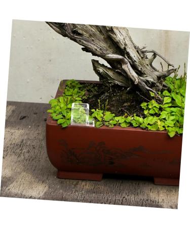 Mipcase 4pcs Pet Water Feeder Ants Water Feeding Supply Ants Habitat Water Feeding Ants Water Feeder Plastic - Buy Online on GoSupps.com
