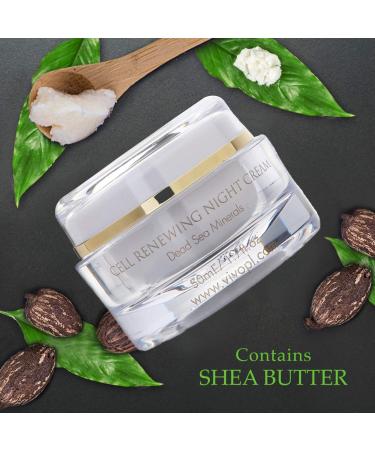 Vivo Per Lei Dead Sea Night Cream - Anti-Aging Moisturizer for Youthful Skin | 1.7 Fl Oz Shea Butter Night Cream - Buy Online on GoSupps.com