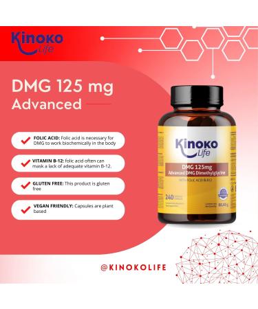 DMG Advanced 125 mg 240 Pure Dimethylglycine Capsules - With Folic Acid & B12 for Improved DMG Absorption Gluten Free Non-GMO Vegan. Memory Stress Concentration - Buy Online on GoSupps.com