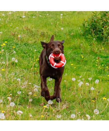 Nobby TPR Lifebuoy with Rope - 15 cm - Durable Floating Safety Device for Pets - International Shipping Available - Buy Online on GoSupps.com