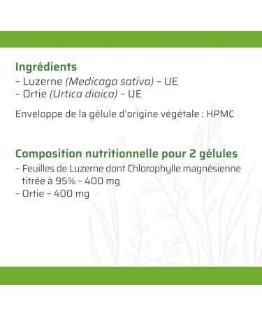 Bioph nix Chlorophyll Magnesian 60 capsules - 100% natural plant-based food supplement - Detox - Protection of digestive liver and kidney functions - Buy Online on GoSupps.com