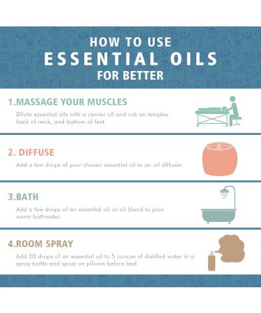 Aromatherapy Rose Essential Oil Set for Diffuser 100% Pure Lemon Essential Oil Kit for Humidifier 3x10ml Therapeutic Grade Eucalyptus Essential Oil Scent Set - Rose Lemon Eucalyptus Oil Kit for Home - Buy Online on GoSupps.com