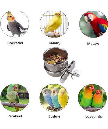 Stainless Steel Bird Food Bowls - 2pcs Hanging Feeding Cups for Parrots & Birds - Buy Online on GoSupps.com