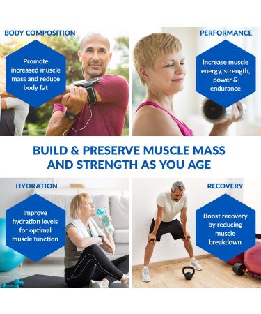 BioTrust Ageless Muscle Builder - Creatine HMB Powder with Vitamin D3 & Betaine for Muscle Preservation - Fruit Punch - 30 Servings - International Shipping Available - Buy Online on GoSupps.com