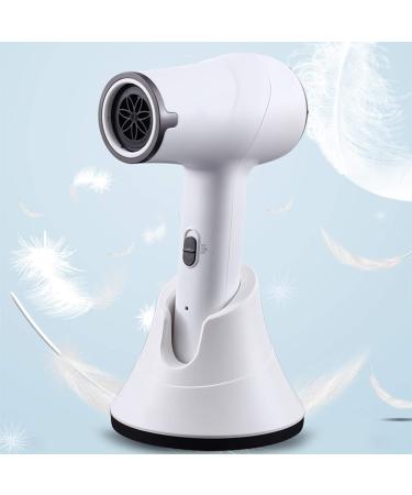 Ionic Cordless Hair Dryer Portable Lightweight Blow Dryer Negative Ion Hairdryer Blowdryer with Concentrator Nozzle Cold/Hot Wind for Home & Travel