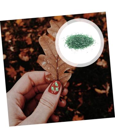 minkissy 1 Glass Chip DIY Charm Fillers Rhinestone for Nails Colored Vases Bulk Flower Vases Colored Glass Vase Colorful Rhinestones Epoxy DIY Nail Art Crushed Glass Irregular Nail Stickers 0.5X0.3cm Green - Buy Online on GoSupps.com