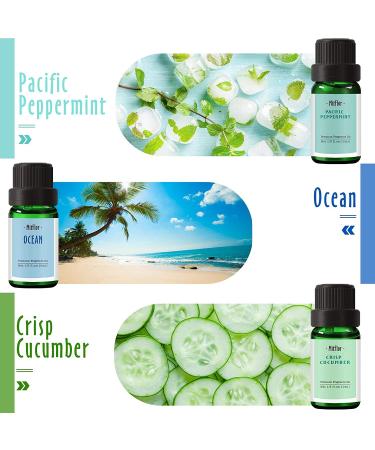 MitFlor Summer Fragrance Oil Gift Set - Ocean, Midsummer Night, Pineapple Scents - 6x10ml for Diffuser, Soap & Candle Making - Buy Online on GoSupps.com