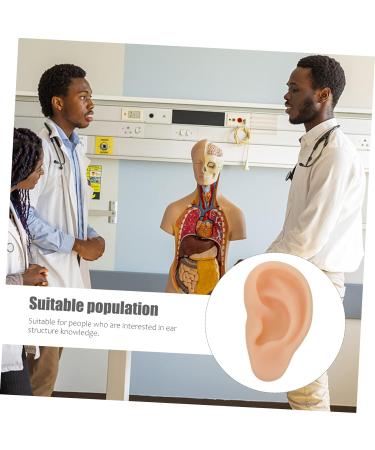 Silicone Ear Model - 3D Major Cyborg Presentation Tool for Ear Training and Piercing Practice - Buy Online on GoSupps.com
