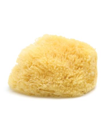 NEPTUNE Bath Sponge 8" Yellow Sea Sponge