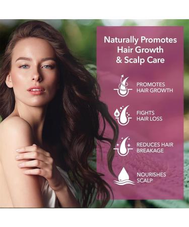 Shampooing de biotin oignon Shampooing de romarin d'oignon propre profond ment nourrissant pour la croissance des cheveux la perte anti-cheveux et l'amincissement le nettoyant hydratant (2pcs) - Buy Online on GoSupps.com