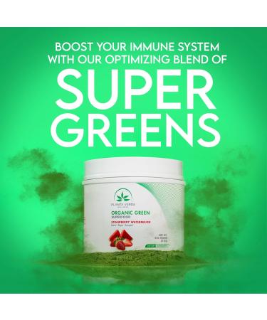 Organic Green Superfood Powder - Strawberry Watermelon Flavor for Detox & Energy Boost (30 Servings) - Buy Online on GoSupps.com