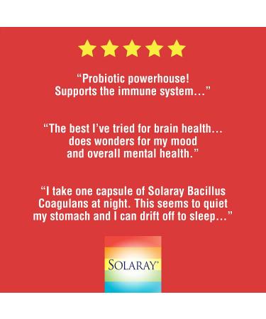 Solaray Bacillus Coagulans 5 Billion - 60 Vegetarian Capsules | Probiotic Supplement - Buy Online on GoSupps.com