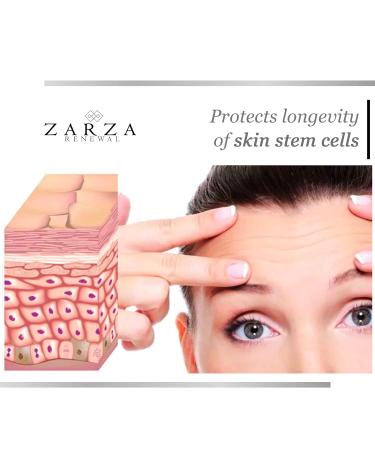 Zarza Renewal Vitamin C Moisturizer | Anti-Aging Hydration for All Skin Types | Delay Premature Signs of Aging - Buy Online on GoSupps.com