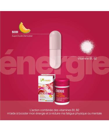 Vita NERGIE SOD de melon Compl ment alimentaire pour garder la forme et r duire la fatigue Energie et vitalit protection contre le stress oxydatif Vitamines B1 et B2 60 G lules - Buy Online on GoSupps.com