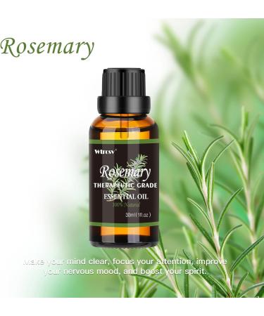 Rosemary Essential Oil - 100% Natural Aromatherapy Oil for Diffuser Humidifier Massage & Skin Care - 1.01 fl oz - Buy Online on GoSupps.com