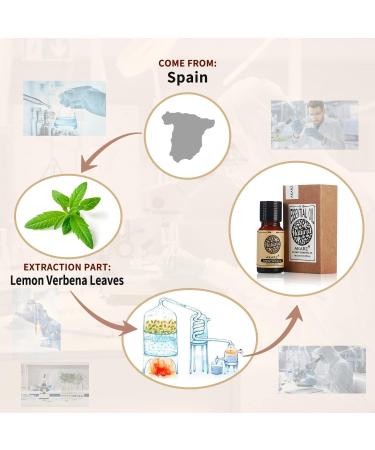 Premium Organic Lemon Verbena Oil - 10ml | Pure Natural Essential Oil for Skin Hair Body Care Diffusers DIY & Aromatherapy - Buy Online on GoSupps.com