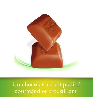 Lindt - Chocolate Hazelnut Praline Milk Squares - Milk Chocolate - 100g - Pack of 5 - Buy Online on GoSupps.com