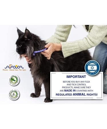 Arava Flea & Tick Prevention Collar for Cats & Kittens - Length 14'' - 11 Natural Active Ingredients - Safe for Babies & Pets - Buy Online on GoSupps.com